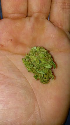 User uploaded image of Snow Bud