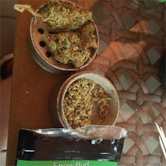 User uploaded image of Snow Bud