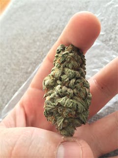 User uploaded image of Snow Diesel