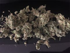 User uploaded image of Snow Diesel