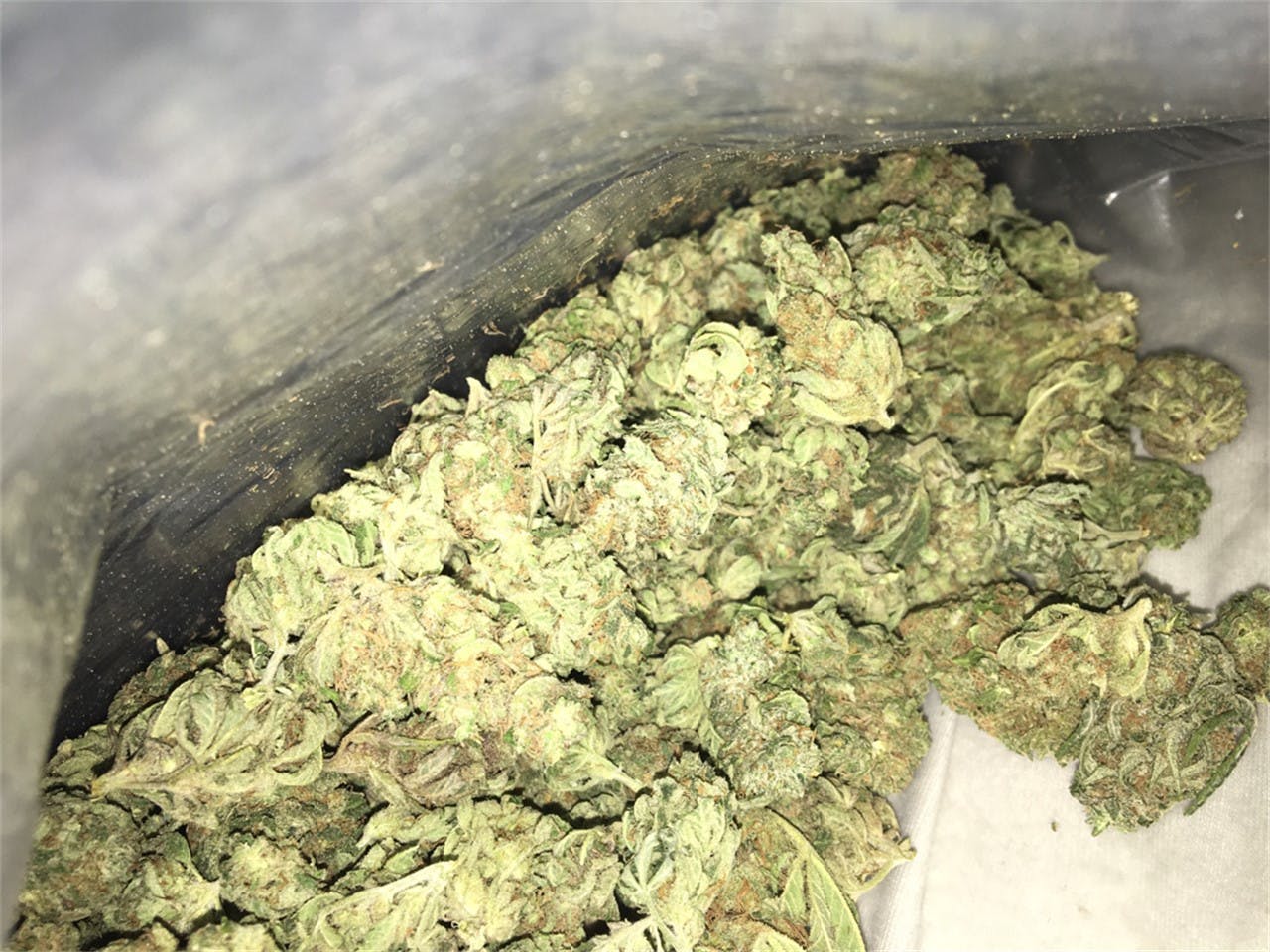 Snow Leopard Weed Strain Information | Leafly