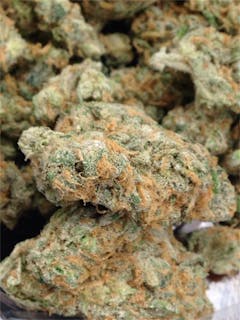 User uploaded image of Snow Lotus