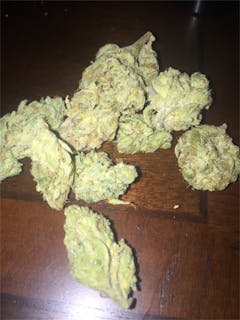 User uploaded image of Snow Lotus