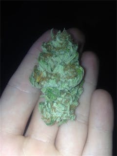 User uploaded image of Snow Monster