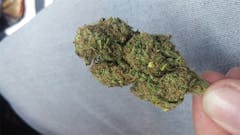 User uploaded image of Snow Monster