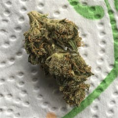 User uploaded image of Snow Ryder