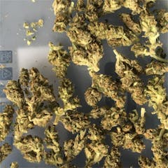 User uploaded image of Snow Ryder