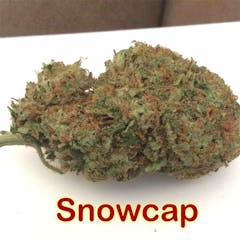 User uploaded image of Snowcap