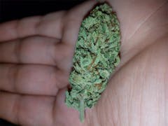 User uploaded image of SnowLAnd