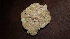 User uploaded image of Sojay Haze