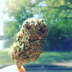 User uploaded image of Somango