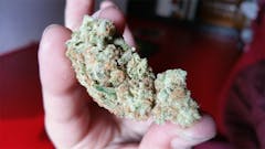 User uploaded image of Sonoma Coma
