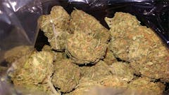 User uploaded image of Sonoma Coma