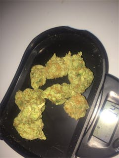 User uploaded image of Sonoma Coma