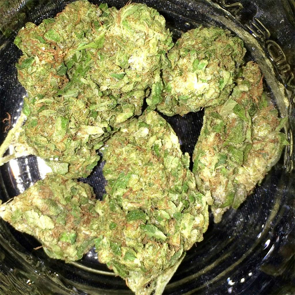 Soul Assassin OG aka Soul Assassin Kush Weed Strain Information Leafly