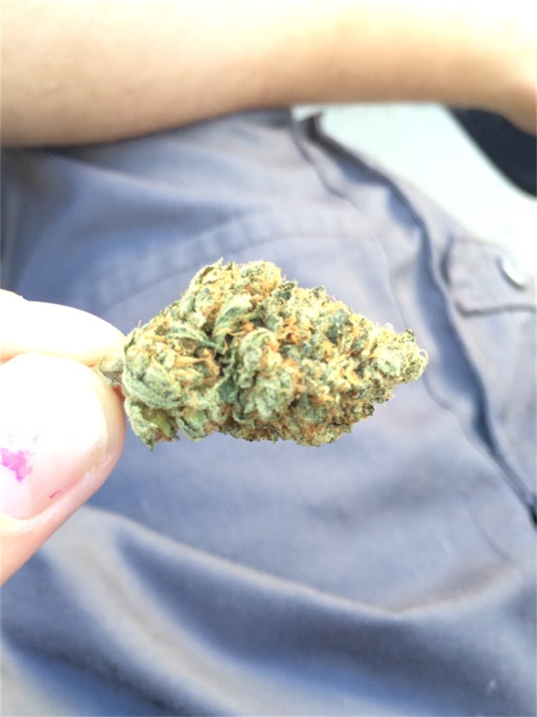 Soul Assassin OG aka Soul Assassin Kush Weed Strain Information Leafly