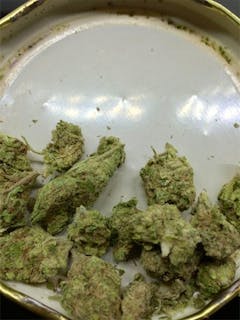 User uploaded image of Soul Shine