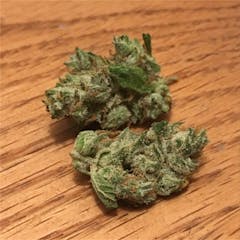 User uploaded image of Sour Alien