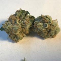User uploaded image of Sour Alien