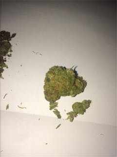 User uploaded image of Sour Alien