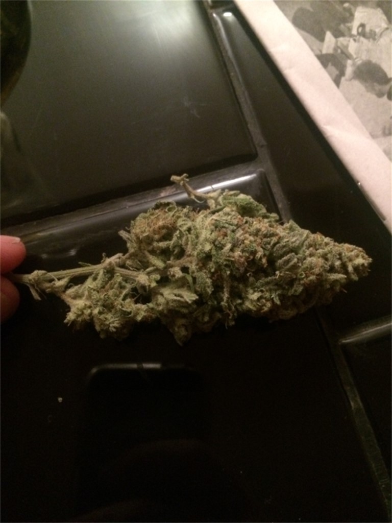 sour amnesia smoke report sour amnesia smoke report