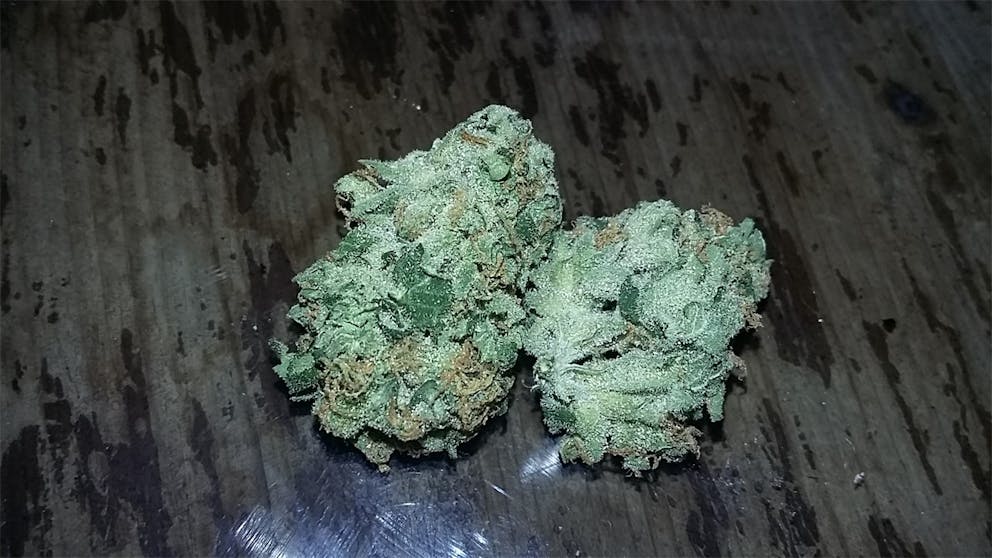 Photos of Sour Amnesia Weed Strain Buds Leafly