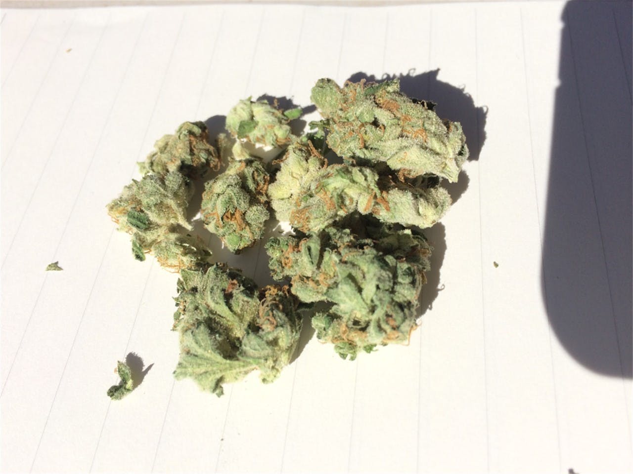 Sour Amnesia aka Sour Amnesia Haze Weed Strain Information Leafly