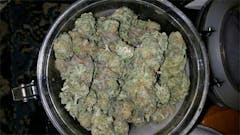 User uploaded image of Ape Diesel