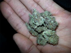 User uploaded image of Ape Diesel