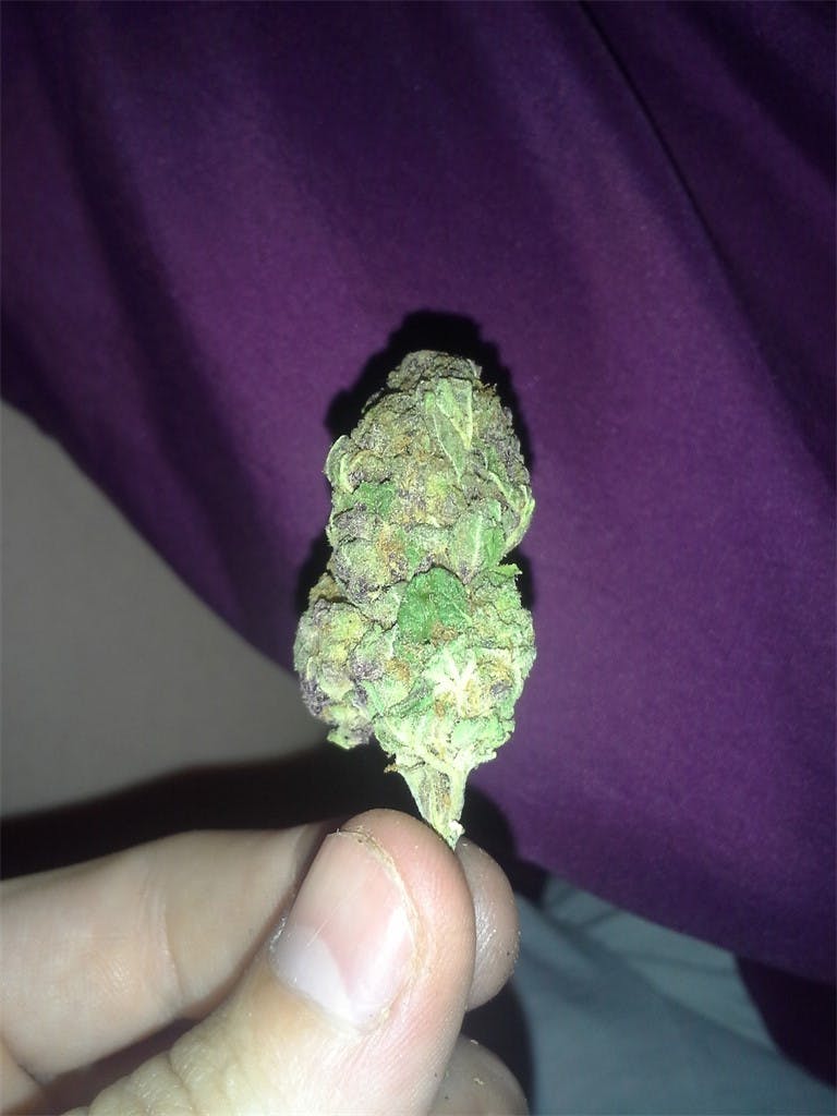 Photos of Sour Apple Weed Strain Buds Leafly