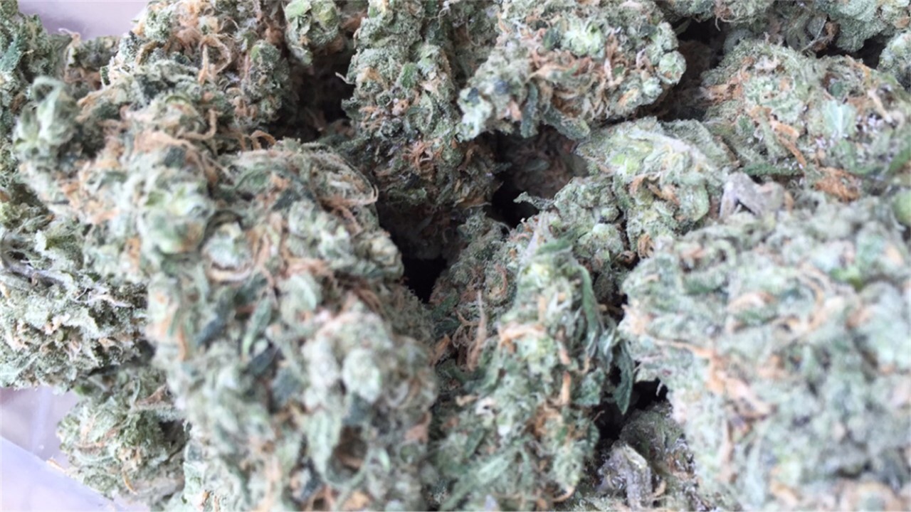 Photos of Sour Apple Weed Strain Buds | Leafly