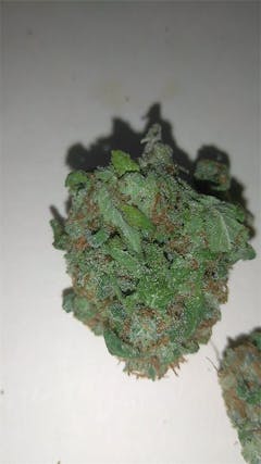 User uploaded image of Sour Banana Sherbet