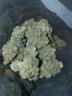 User uploaded image of Sour Banana Sherbet