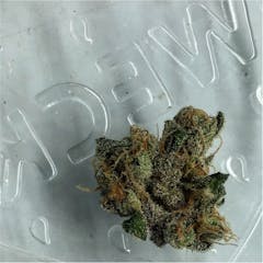 User uploaded image of Sour Banana Sherbet