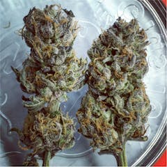 User uploaded image of Sour Banana Sherbet