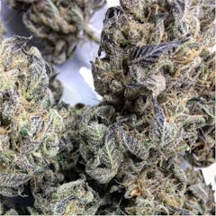 User uploaded image of Sour Banana Sherbet
