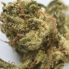 User uploaded image of Sour Breath