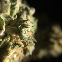 User uploaded image of Sour Bubba