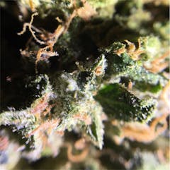 User uploaded image of Sour Bubba