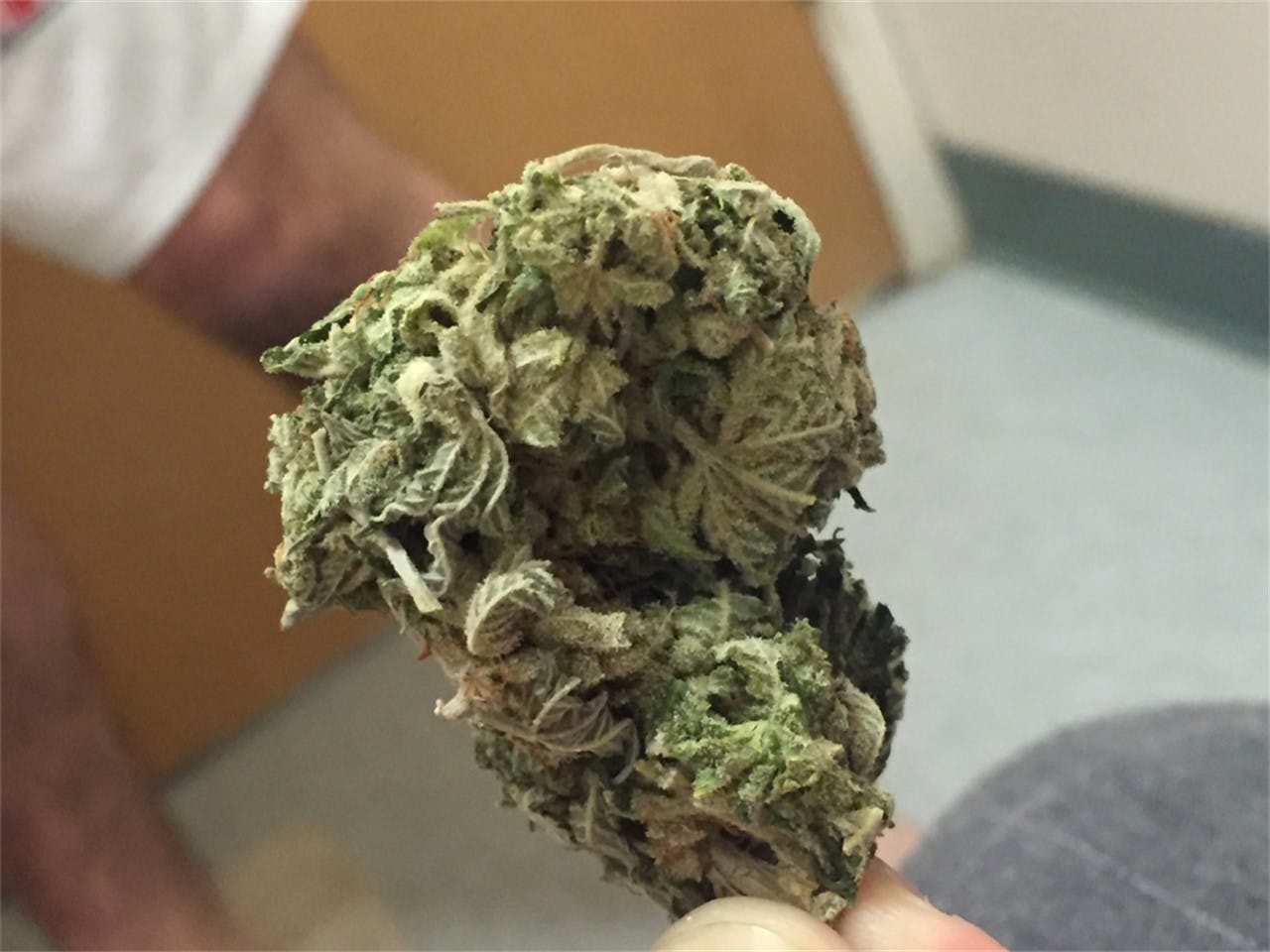 Sour Bubble Weed Strain Information Leafly