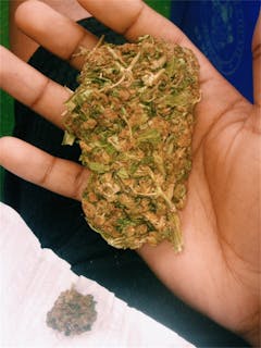 User uploaded image of Sour Bubble