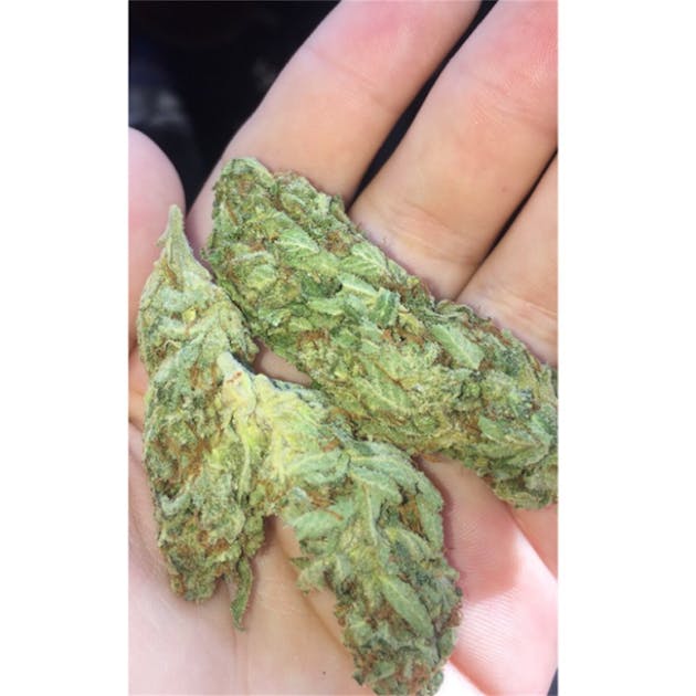 Photos of Sour Bubble Weed Strain Buds Leafly