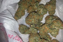 User uploaded image of Sour Bubble