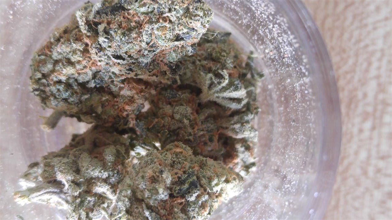 Sour Bubble Weed Strain Information Leafly