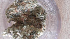 User uploaded image of Sour Bubble