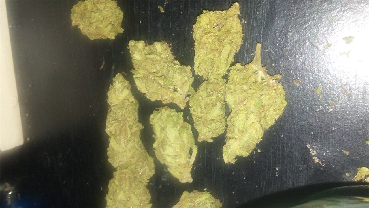 Sour Candy Weed Strain Information Leafly