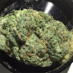 User uploaded image of Sour Candy