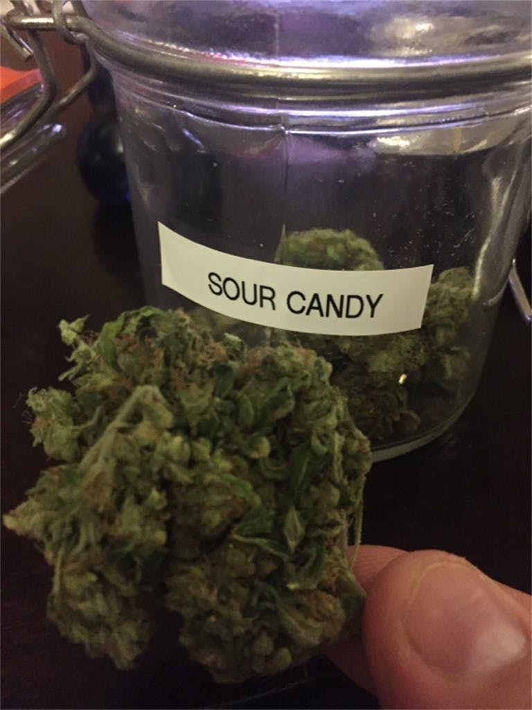 Sour Candy Weed Strain Information Leafly