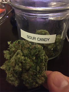 User uploaded image of Sour Candy