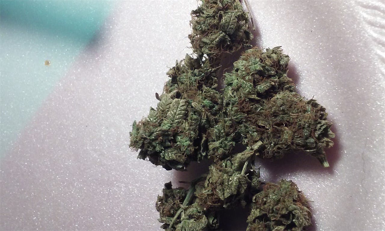 Sour Candy Weed Strain Information Leafly